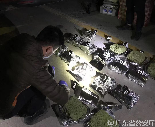 大麻案件.jpg