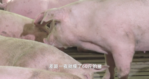 微信图片_20230214154924.png